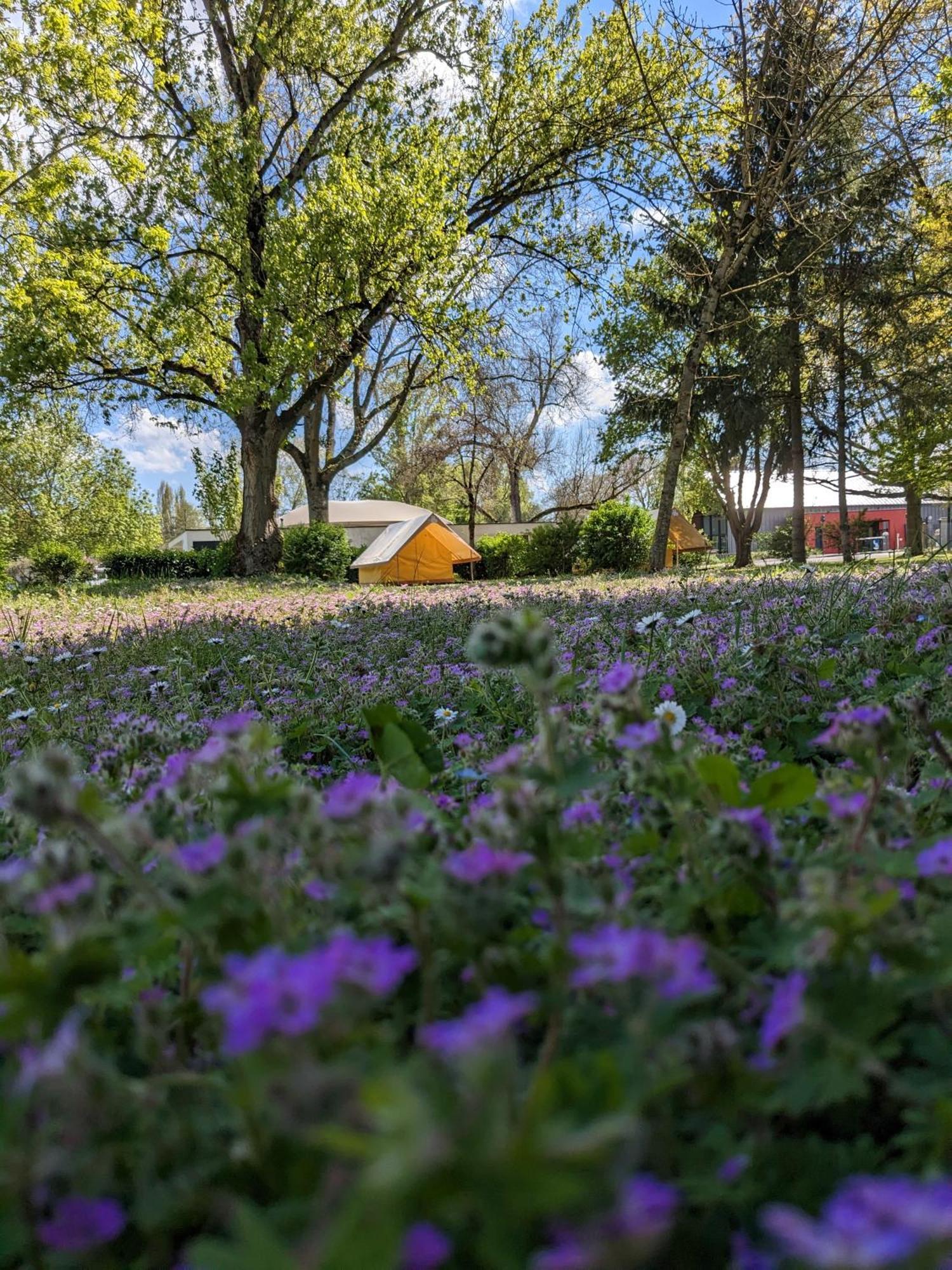 Camping Onlycamp Tours Val De Loire Saint Avertin Bagian luar foto